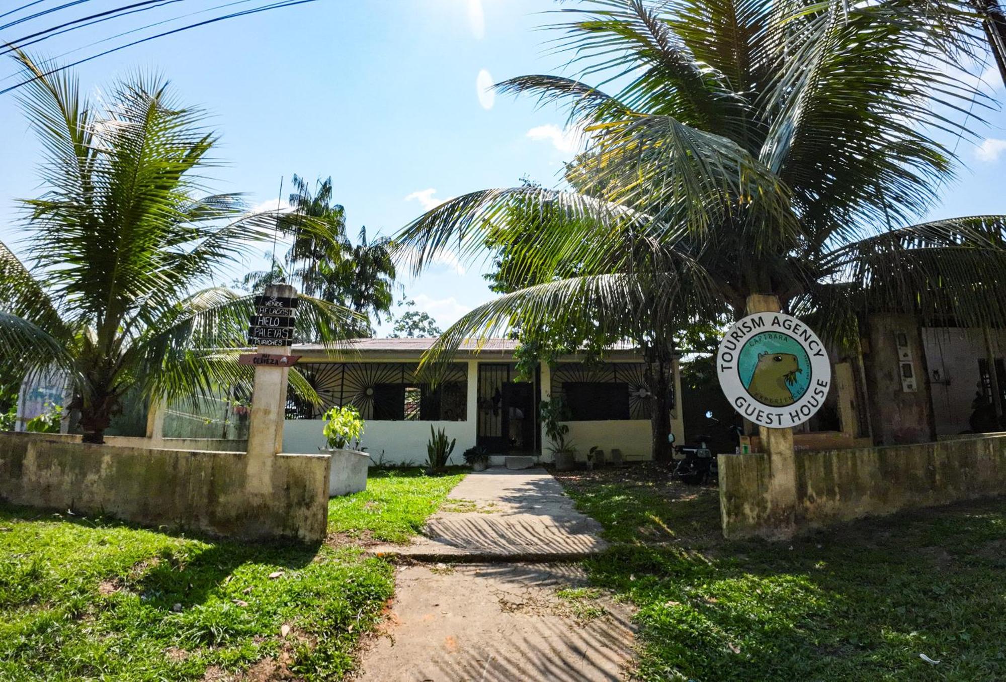 לטיסייה Capibara Guest House מראה חיצוני תמונה